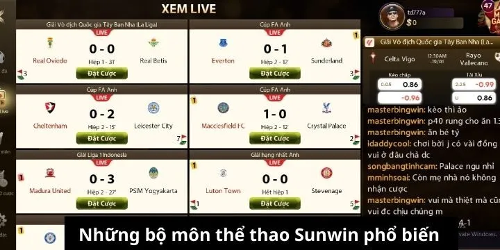 Các sản phẩm đặc sắc nhất của sảnh thể thao Sunwin